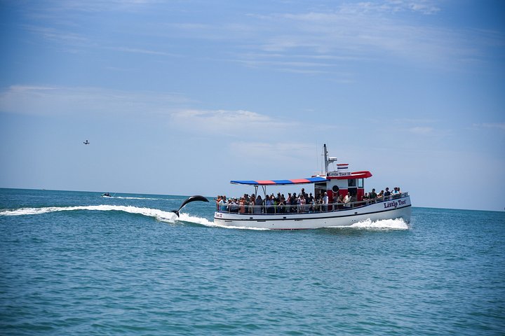 Dolphin watching tour on a tugboat in Clearwater Beach, Florida, photo 13 | wizardtrip