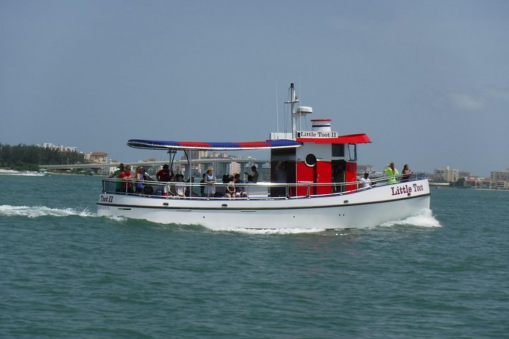 Dolphin watching tour on a tugboat in Clearwater Beach, Florida, photo 15 | wizardtrip