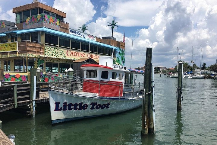 Dolphin watching tour on a tugboat in Clearwater Beach, Florida, photo 16 | wizardtrip