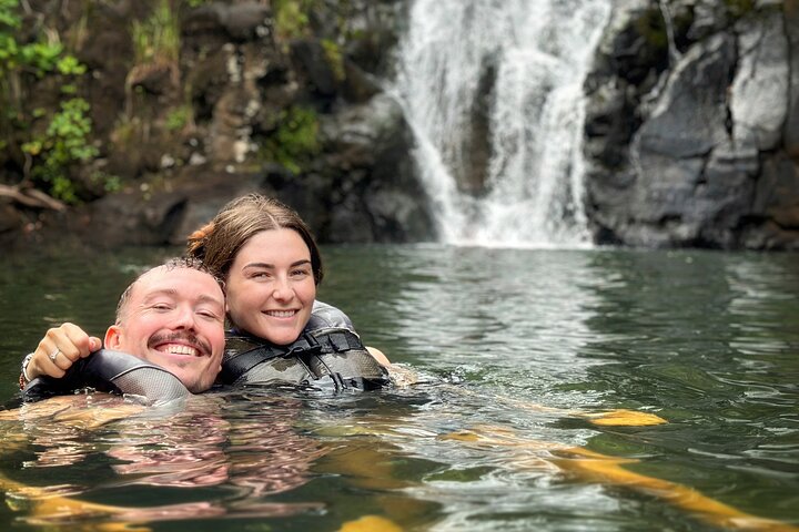 Excursion d’une journée à Oahu avec cascades, food trucks et points de vue