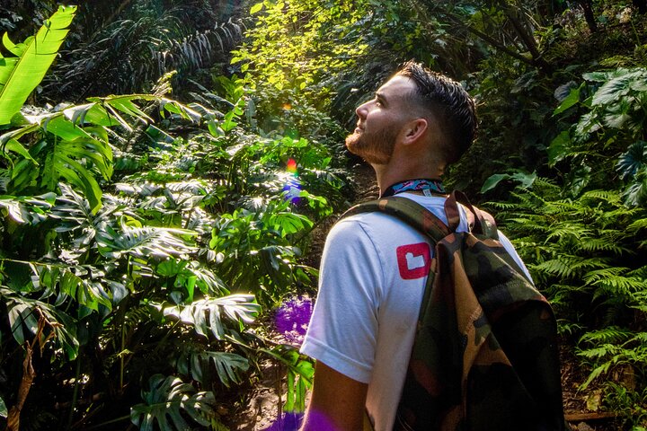Excursion d'une journée complète à Oahu avec cascades, food trucks et points de vue, photo 6 | wizardtrip
