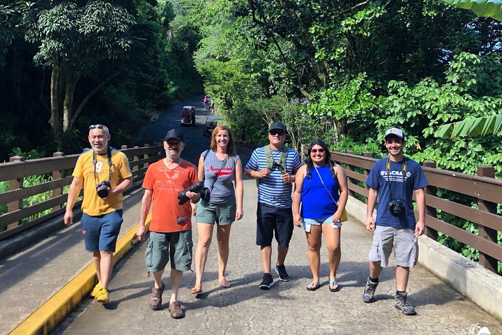 Excursion d'une journée complète à Oahu avec cascades, food trucks et points de vue, photo 9 | wizardtrip