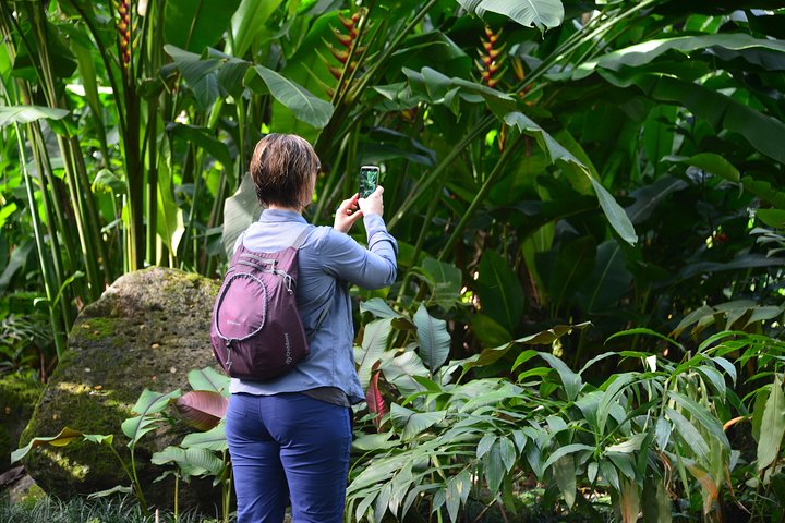 Excursion d'une journée complète à Oahu avec cascades, food trucks et points de vue, photo 13 | wizardtrip