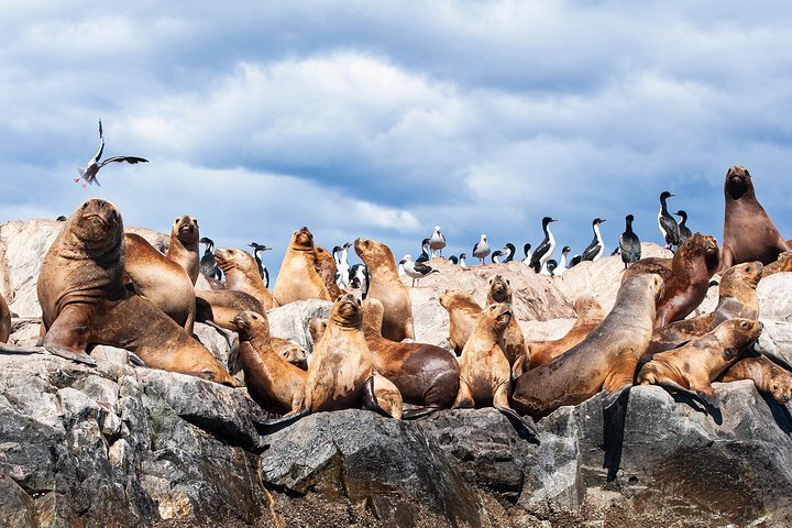 Ushuaia | wizardtrip