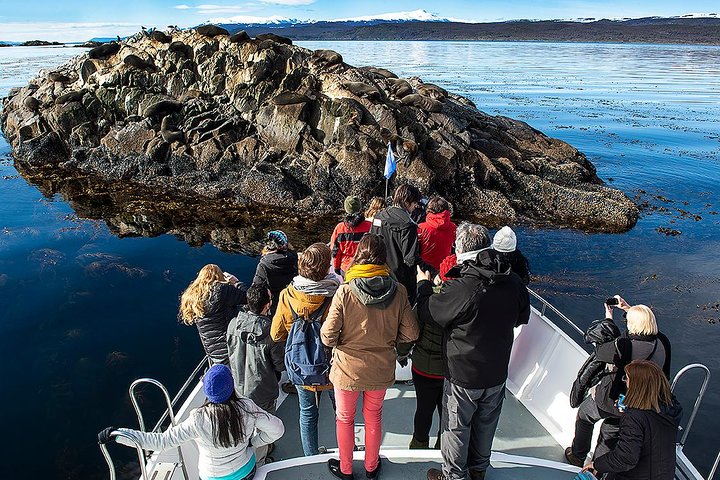 アルゼンチン、ウシュアイアでのビーグル海峡ボートツアー。野生動物と灯台の景色、写真6 | wizardtrip