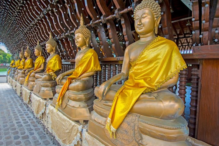 Explorez les rues et les monuments animés de Colombo en tuk-tuk, découvrez la riche culture et l'histoire de la ville, photo 46 | wizardtrip