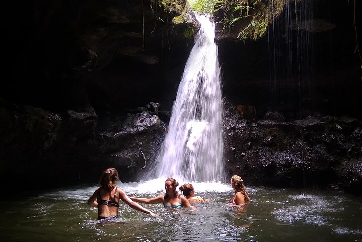 Utforska Tetebatus risterrasser, vattenfall och apaskog på en guidad vandringstur på Lombok, foto 9 | wizardtrip