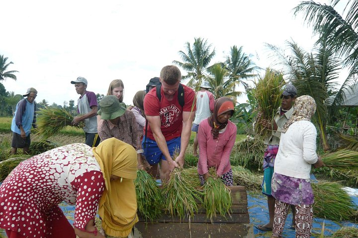Utforska Tetebatus risterrasser, vattenfall och apaskog på en guidad vandringstur på Lombok, foto 12 | wizardtrip