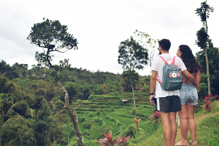 Utforska Tetebatus risterrasser, vattenfall och apaskog på en guidad vandringstur på Lombok, foto 13 | wizardtrip