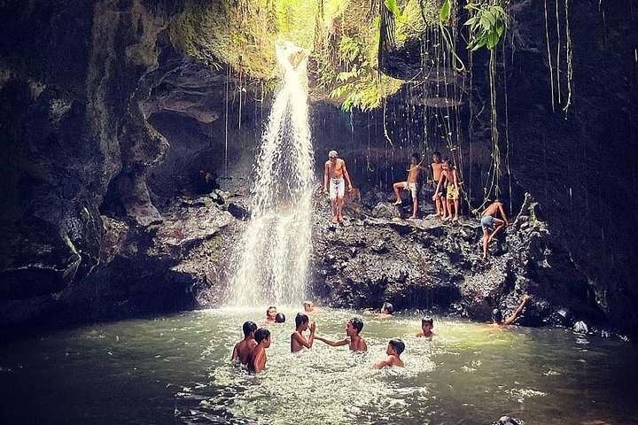 Utforska Tetebatus risterrasser, vattenfall och apaskog på en guidad vandringstur på Lombok, foto 19 | wizardtrip