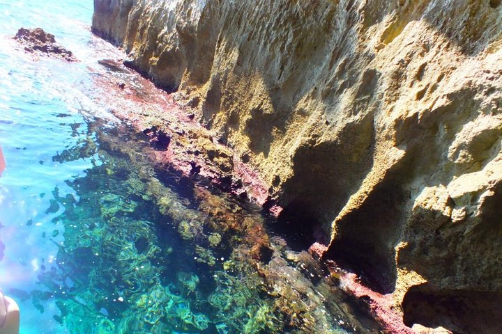 Bootstour zur Erkundung der Insel Ortigia, der Meereshöhlen und der Küste in Syrakus, Sizilien, Foto 11 | wizardtrip