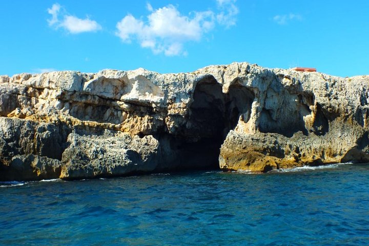 Bootstour zur Erkundung der Insel Ortigia, der Meereshöhlen und der Küste in Syrakus, Sizilien, Foto 13 | wizardtrip