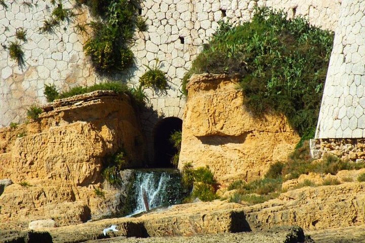 Bootstour zur Erkundung der Insel Ortigia, der Meereshöhlen und der Küste in Syrakus, Sizilien, Foto 16 | wizardtrip