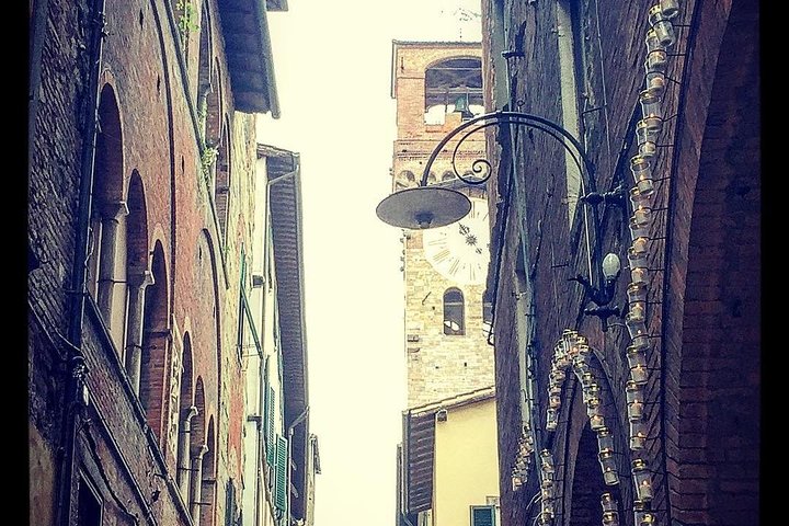 Visite guidée à pied du centre historique de Lucca, présentant ses remparts Renaissance, ses places charmantes et ses églises anciennes, photo 7 | wizardtrip