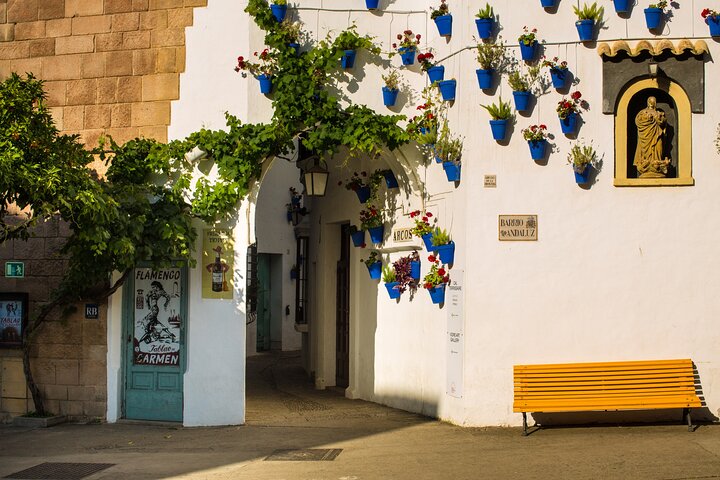Ervaar een authentieke flamencoshow met diner bij Tablao de Carmen in het Poble Espanyol van Barcelona, foto 8 | wizardtrip