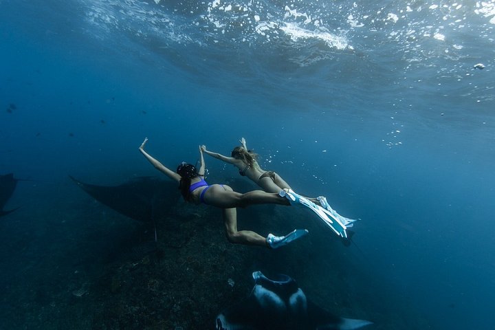 Privéjacht tour naar Nusa Penida voor snorkelen met manta's en genieten van mooie uitzichten, foto 35 | wizardtrip