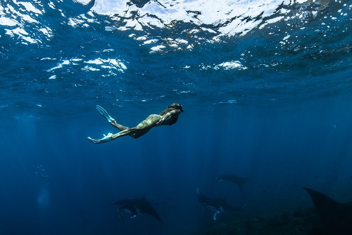 Privéjacht tour naar Nusa Penida voor snorkelen met manta's en genieten van mooie uitzichten, foto 37 | wizardtrip