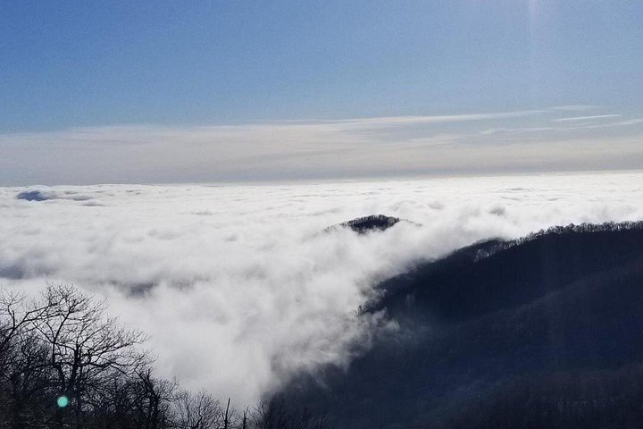 Randonnée panoramique aux cascades et route sur la Blue Ridge Parkway près d'Asheville, photo 9 | wizardtrip