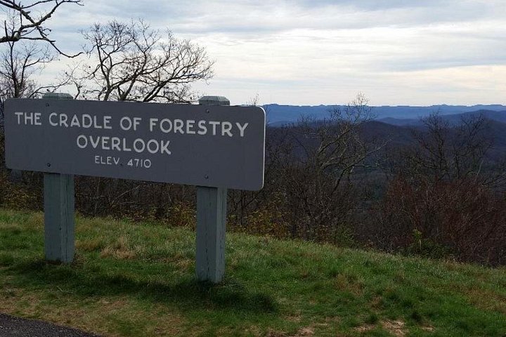 Randonnée panoramique aux cascades et route sur la Blue Ridge Parkway près d'Asheville, photo 10 | wizardtrip