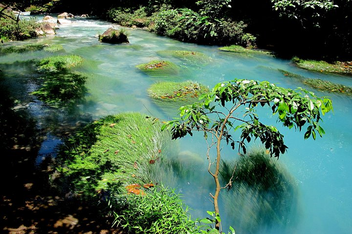 Heldagsvandring till Rio Celestos blå vattenfall och unika flod i nationalparken Tenorio Volcano, Costa Rica, foto 6 | wizardtrip
