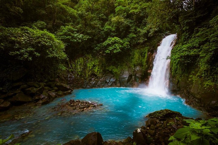 Heldagsvandring till Rio Celestos blå vattenfall och unika flod i nationalparken Tenorio Volcano, Costa Rica, foto 7 | wizardtrip