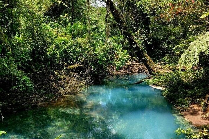 Heldagsvandring till Rio Celestos blå vattenfall och unika flod i nationalparken Tenorio Volcano, Costa Rica, foto 8 | wizardtrip