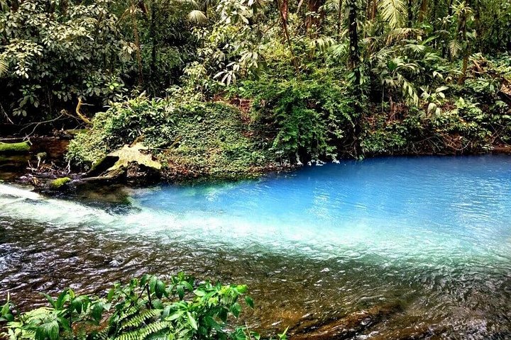Heldagsvandring till Rio Celestos blå vattenfall och unika flod i nationalparken Tenorio Volcano, Costa Rica, foto 9 | wizardtrip