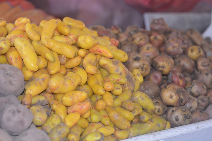 Apprenez la cuisine péruvienne traditionnelle et explorez les ingrédients locaux dans un cours pratique à Cusco, photo 47 | wizardtrip
