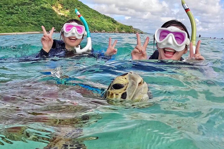 Schnorcheltour mit Meeresschildkröten in Miyakojima, Japan, mit Korallenriffen und tropischen Fischen, Foto 8 | wizardtrip