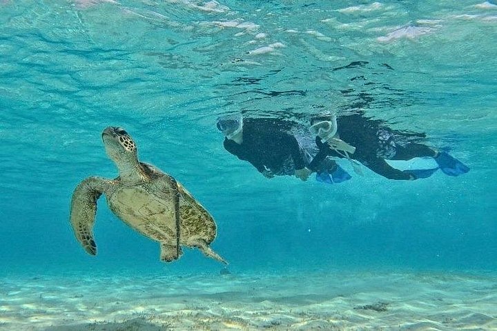 Schnorcheltour mit Meeresschildkröten in Miyakojima, Japan, mit Korallenriffen und tropischen Fischen, Foto 10 | wizardtrip