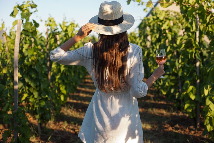 Mount Etna and Wine Tasting Tour | wizardtrip