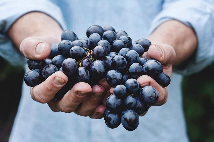 Natursköna vyer över Etna, vingårdar och vinprovning under en siciliansk tur, foto 8 | wizardtrip