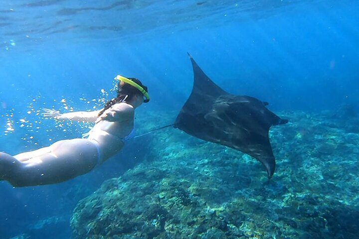 Nusa Penida Snorkelen met Manta Bay en Landtour | wizardtrip