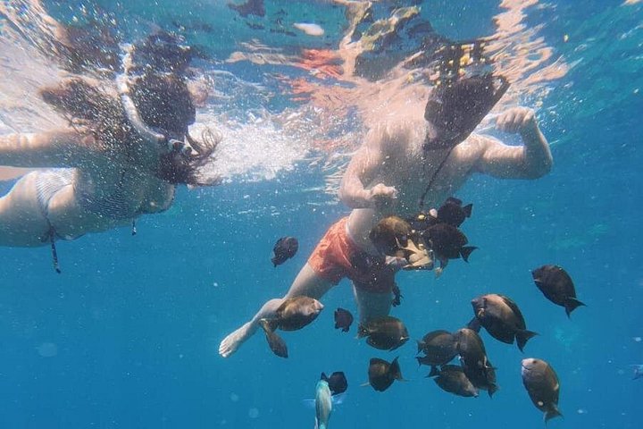 Aventure d'une journée complète de snorkeling et d'excursion terrestre à Nusa Penida, Indonésie, photo 16 | wizardtrip