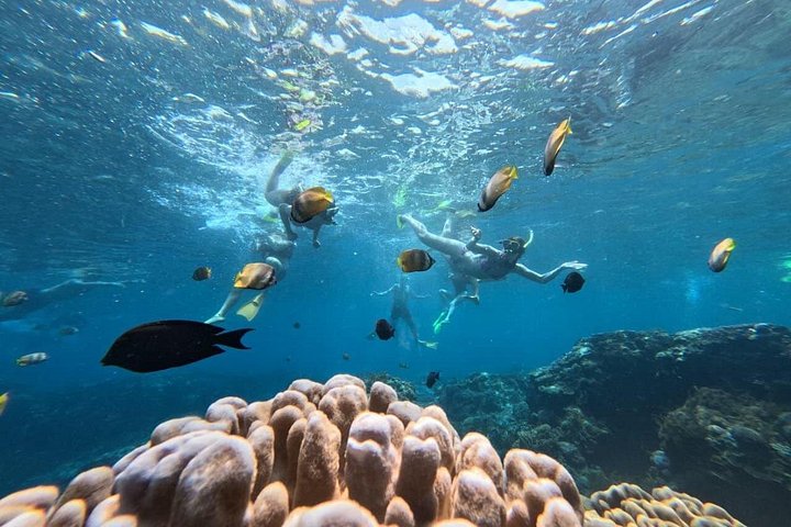 Aventure d'une journée complète de snorkeling et d'excursion terrestre à Nusa Penida, Indonésie, photo 22 | wizardtrip