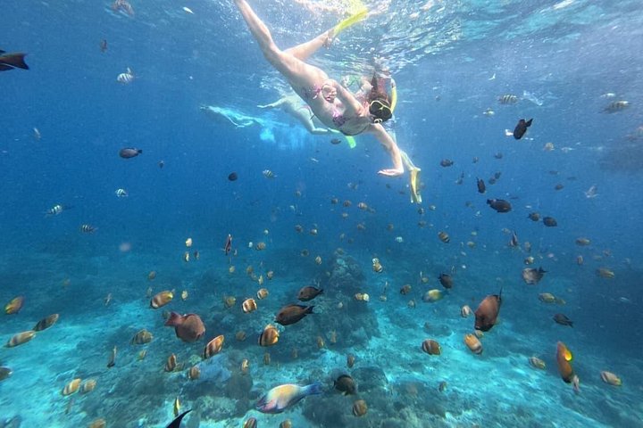 Aventure d'une journée complète de snorkeling et d'excursion terrestre à Nusa Penida, Indonésie, photo 23 | wizardtrip