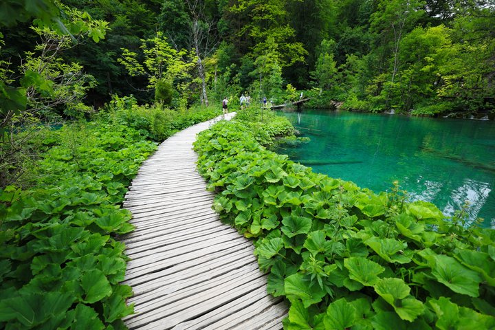 Geführte Tagestour zum Nationalpark Plitvicer Seen ab Zadar, Kroatien, mit Wasserfällen und Seen, Foto 9 | wizardtrip