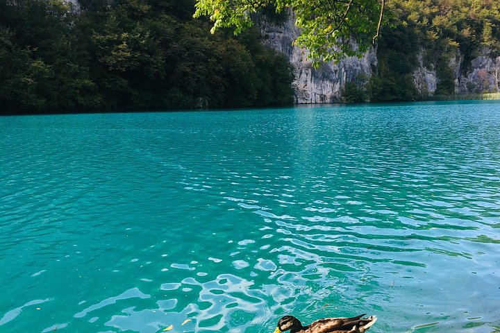 Geführte Tagestour zum Nationalpark Plitvicer Seen ab Zadar, Kroatien, mit Wasserfällen und Seen, Foto 28 | wizardtrip