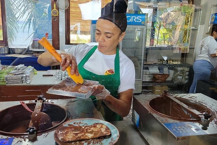 Excursion sur l'île de Roatan avec des singes, des paresseux, dégustation de chocolat et de rhum avec des vues panoramiques, photo 14 | wizardtrip