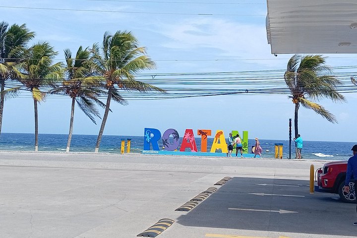 Excursion sur l'île de Roatan avec des singes, des paresseux, dégustation de chocolat et de rhum avec des vues panoramiques, photo 18 | wizardtrip