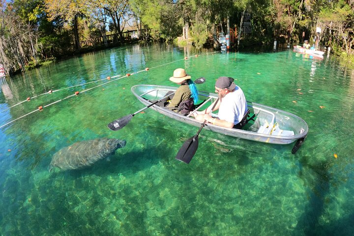 Clear Kayak Manatee Ecotour van Crystal River | wizardtrip