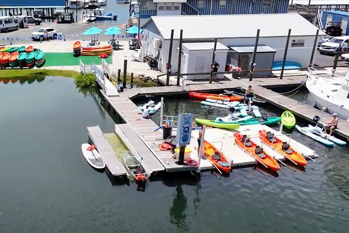 Des kayaks transparents glissent à travers Crystal River, en Floride, offrant des vues sur la faune et les sources, photo 6 | wizardtrip