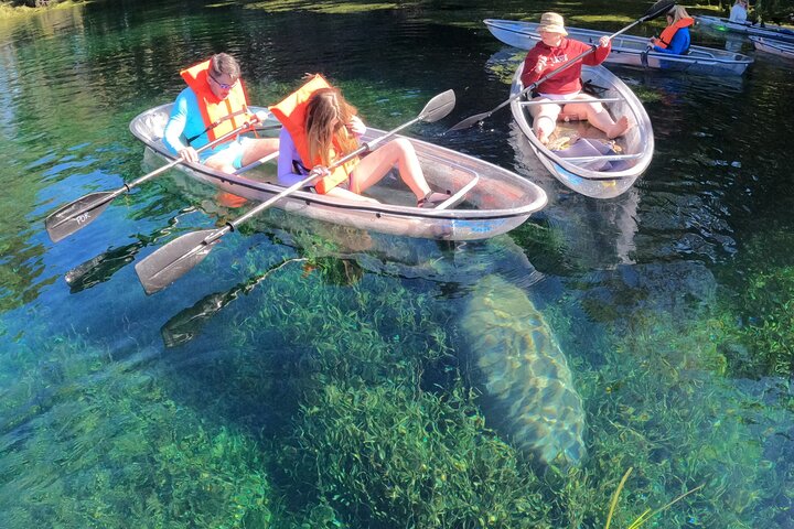 Des kayaks transparents glissent à travers Crystal River, en Floride, offrant des vues sur la faune et les sources, photo 8 | wizardtrip