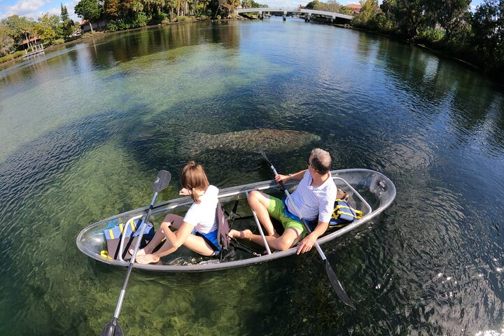 Des kayaks transparents glissent à travers Crystal River, en Floride, offrant des vues sur la faune et les sources, photo 9 | wizardtrip
