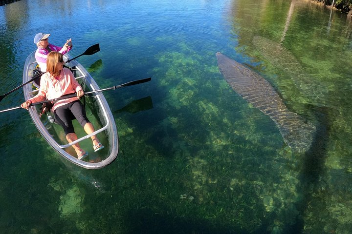 Des kayaks transparents glissent à travers Crystal River, en Floride, offrant des vues sur la faune et les sources, photo 19 | wizardtrip