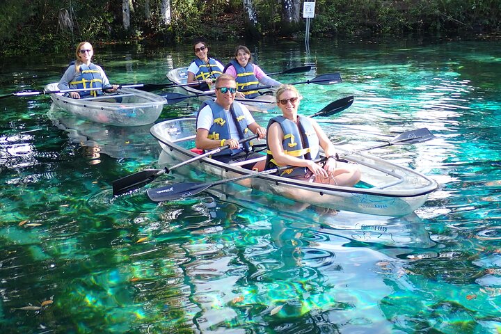 Des kayaks transparents glissent à travers Crystal River, en Floride, offrant des vues sur la faune et les sources, photo 22 | wizardtrip