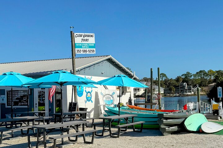 Des kayaks transparents glissent à travers Crystal River, en Floride, offrant des vues sur la faune et les sources, photo 24 | wizardtrip
