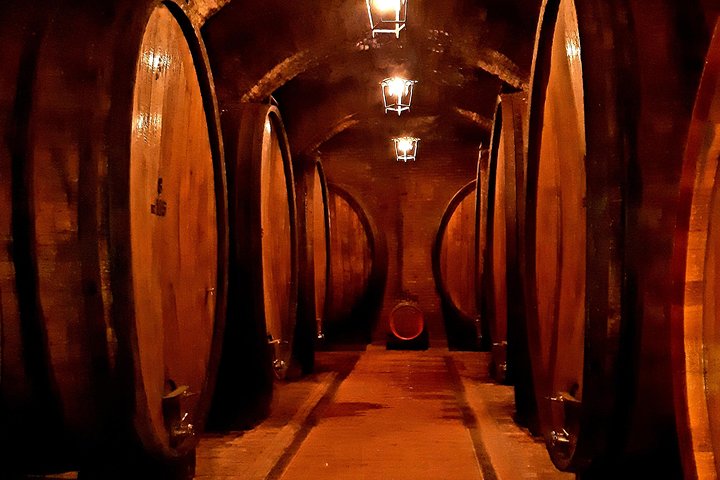 Tour privato del vino in Toscana con visita a Montepulciano, Pienza e Montalcino, foto 6 | wizardtrip