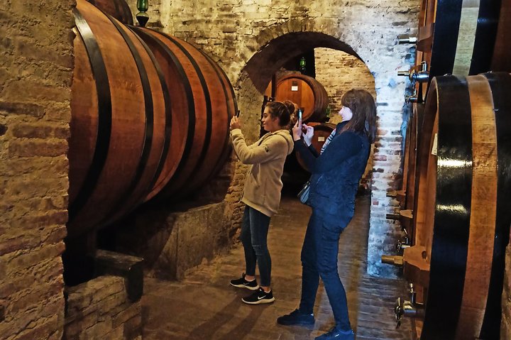 Tour privato del vino in Toscana con visita a Montepulciano, Pienza e Montalcino, foto 9 | wizardtrip