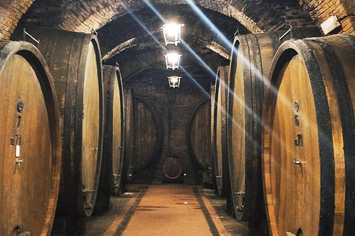 Tour privato del vino in Toscana con visita a Montepulciano, Pienza e Montalcino, foto 10 | wizardtrip